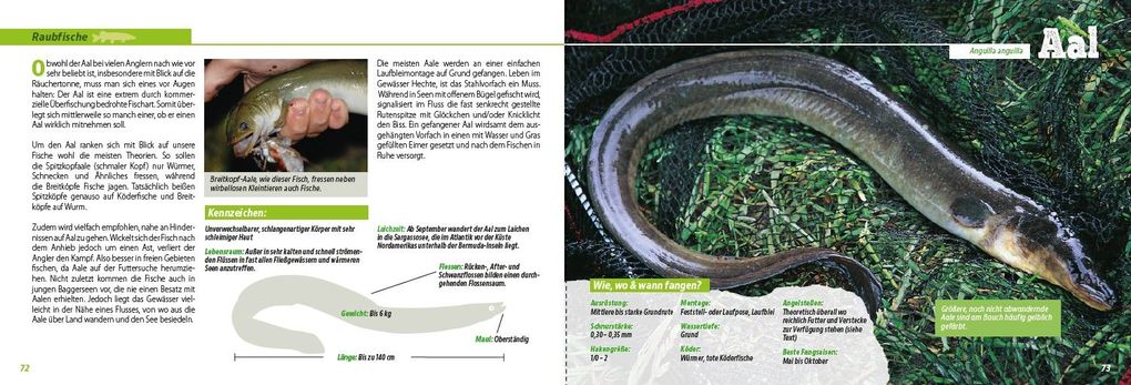 Weitere Ansicht: Angler-Lexikon der Süßwasserfische | Frank Weissert