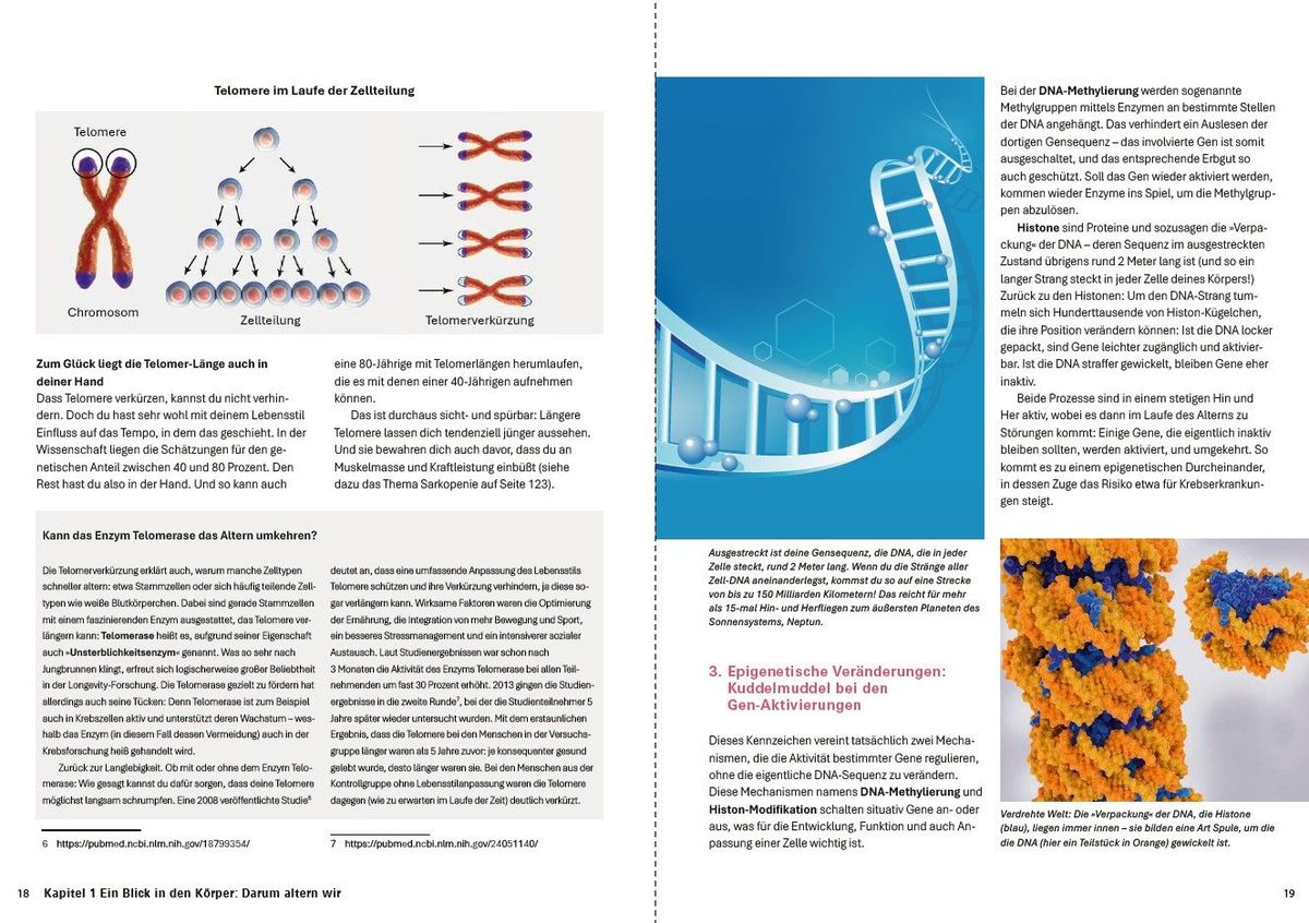 Weitere Ansicht: Der Women's Health Longevity-Code | Oliver Bertram