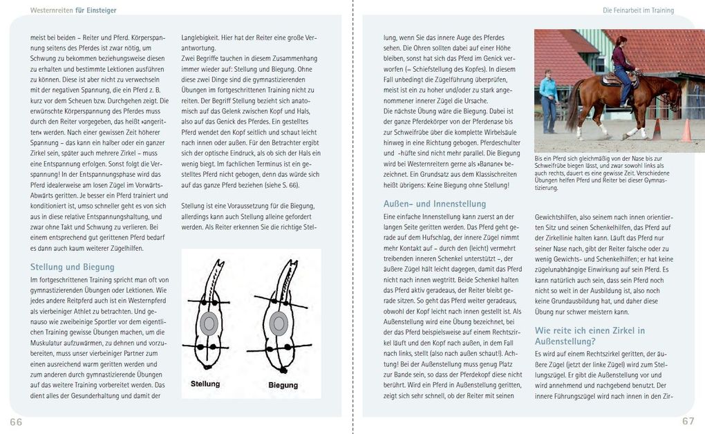 Weitere Ansicht: Westernreiten für Einsteiger | Ute Holm-Schäuble, Carola Steen