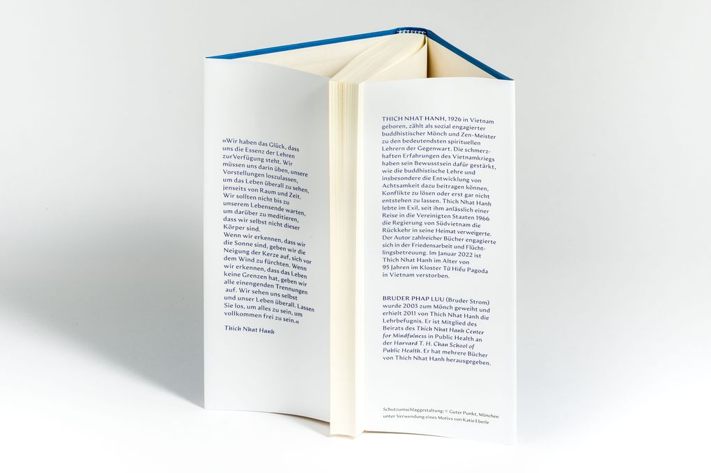 Weitere Ansicht: Reinkarnation | Thich Nhat Hanh, Nhat Thich