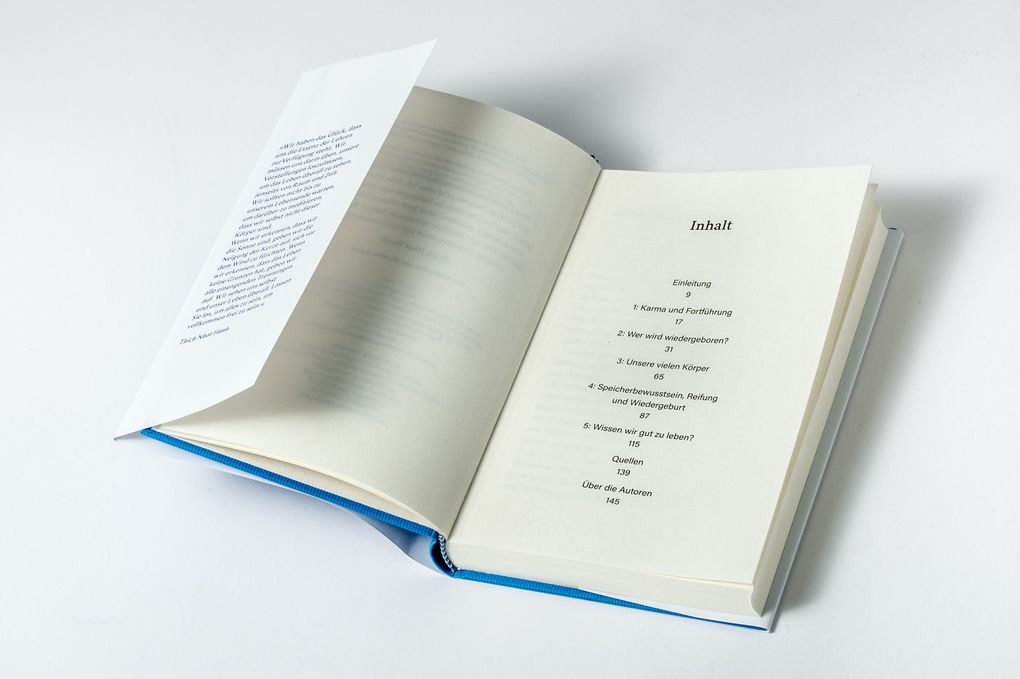 Weitere Ansicht: Reinkarnation | Thich Nhat Hanh, Nhat Thich