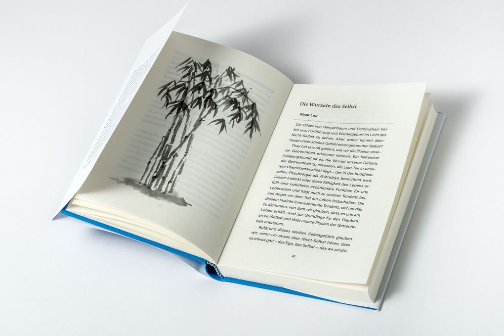 Weitere Ansicht: Reinkarnation | Thich Nhat Hanh, Nhat Thich