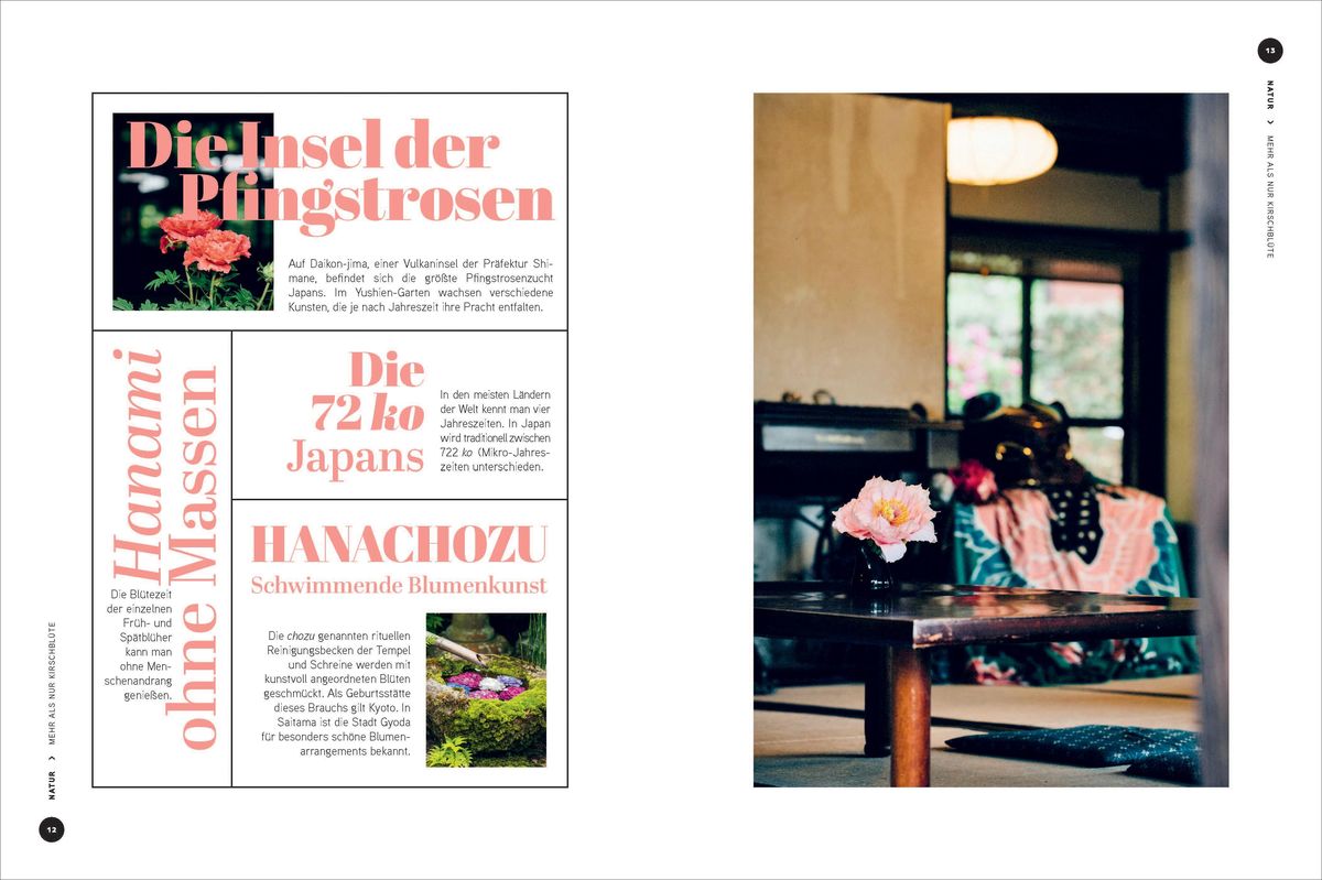 Weitere Ansicht: Echt Japan | Aimie Eliot
