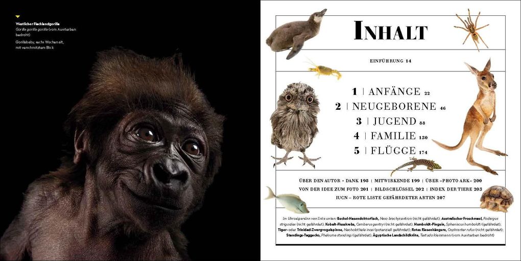 Weitere Ansicht: Tierkinder | Joel Sartore