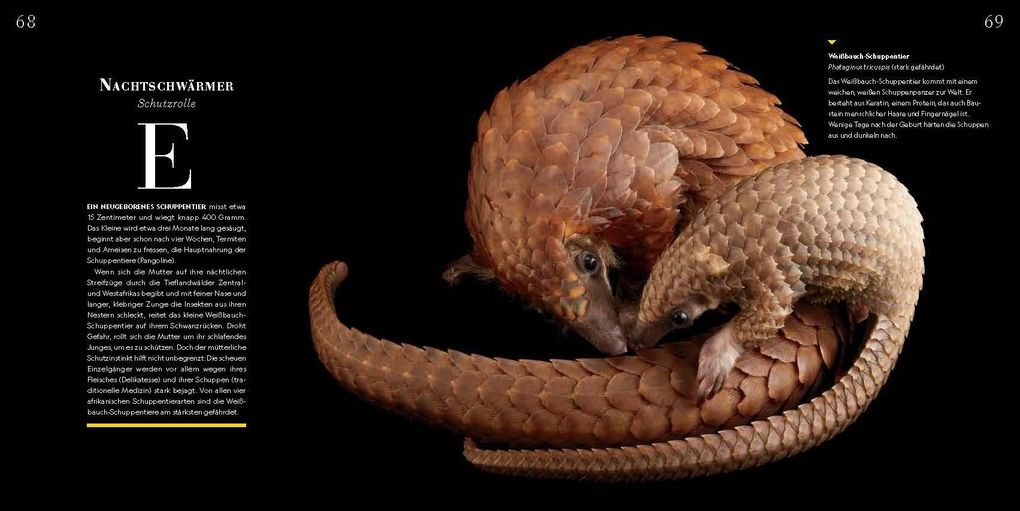 Weitere Ansicht: Tierkinder | Joel Sartore