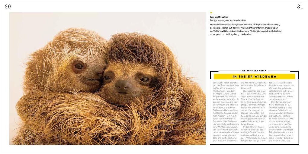 Weitere Ansicht: Tierkinder | Joel Sartore