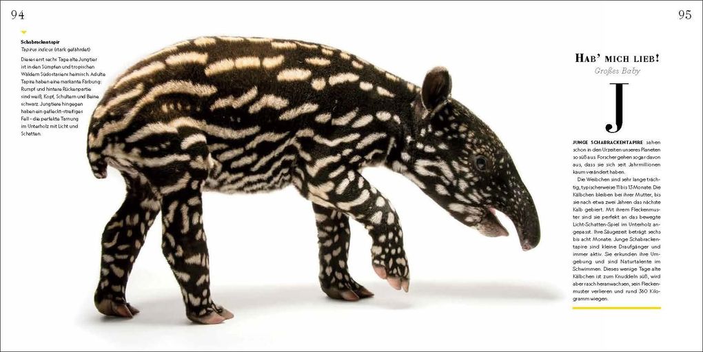 Weitere Ansicht: Tierkinder | Joel Sartore