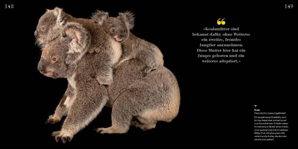 Weitere Ansicht: Tierkinder | Joel Sartore