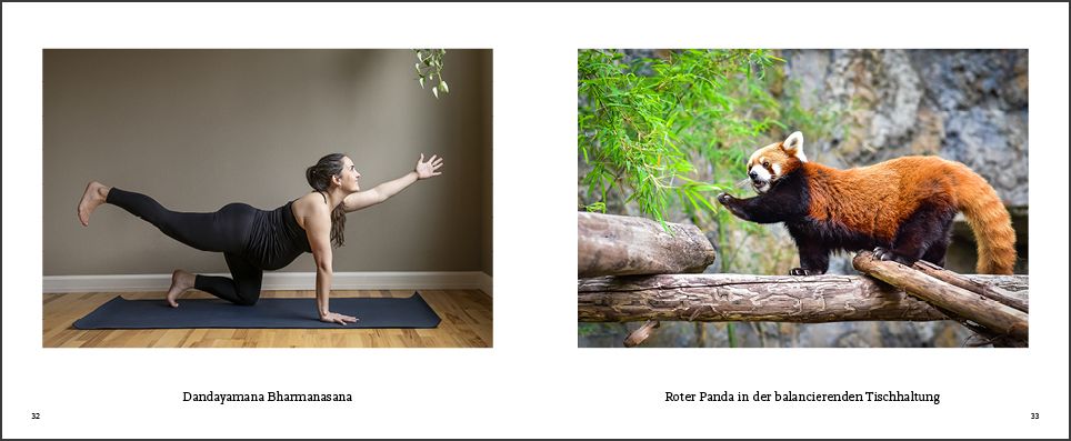 Weitere Ansicht: Tiere machen Yoga