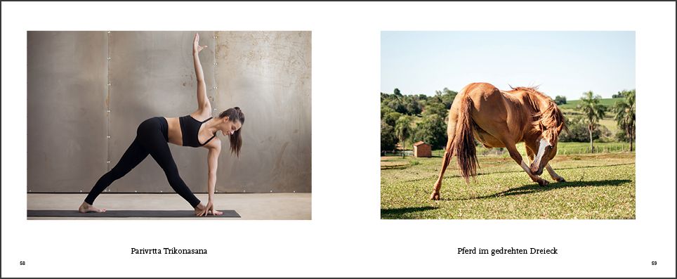 Weitere Ansicht: Tiere machen Yoga