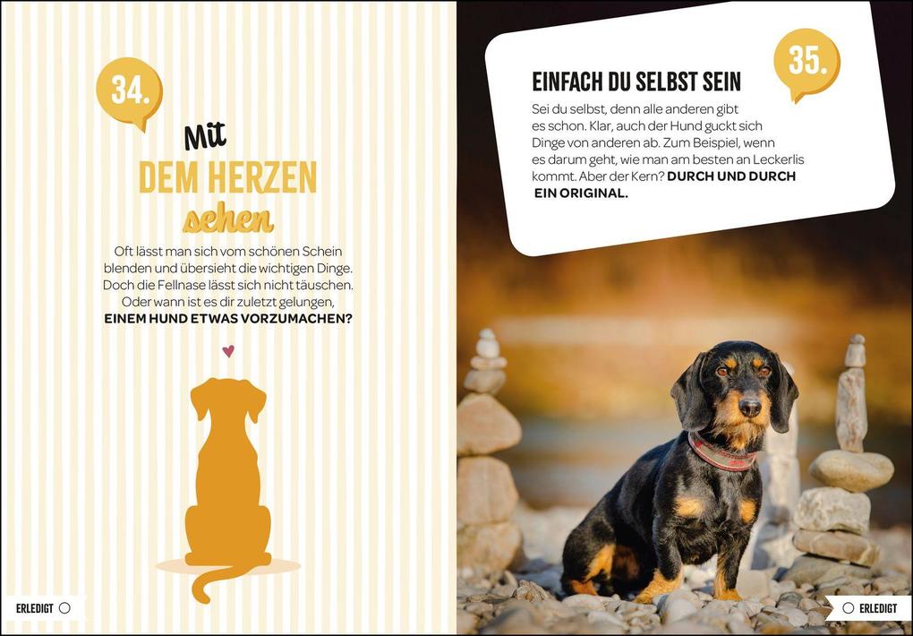 Weitere Ansicht: 100 Dinge, die man von einem Hund lernen kann