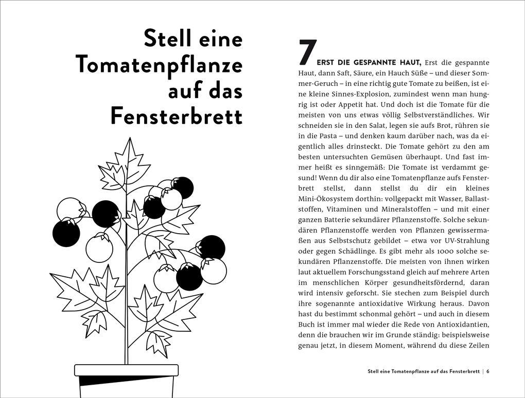 Weitere Ansicht: 15 Entscheidungen, die dein Leben verlängern | Christian Heinrich