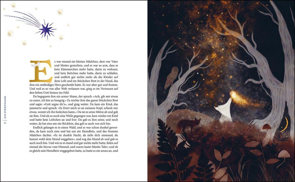 Weitere Ansicht: Magie der Nacht