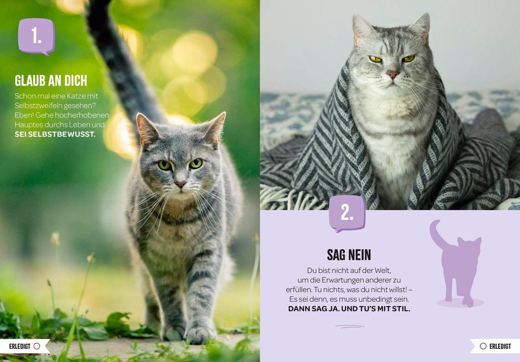 Weitere Ansicht: 100 Dinge, die man von einer Katze lernen kann