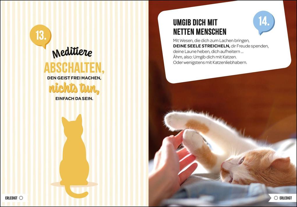 Weitere Ansicht: 100 Dinge, die man von einer Katze lernen kann
