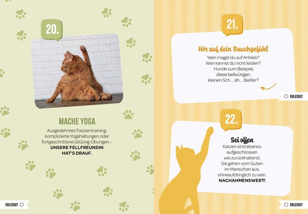 Weitere Ansicht: 100 Dinge, die man von einer Katze lernen kann