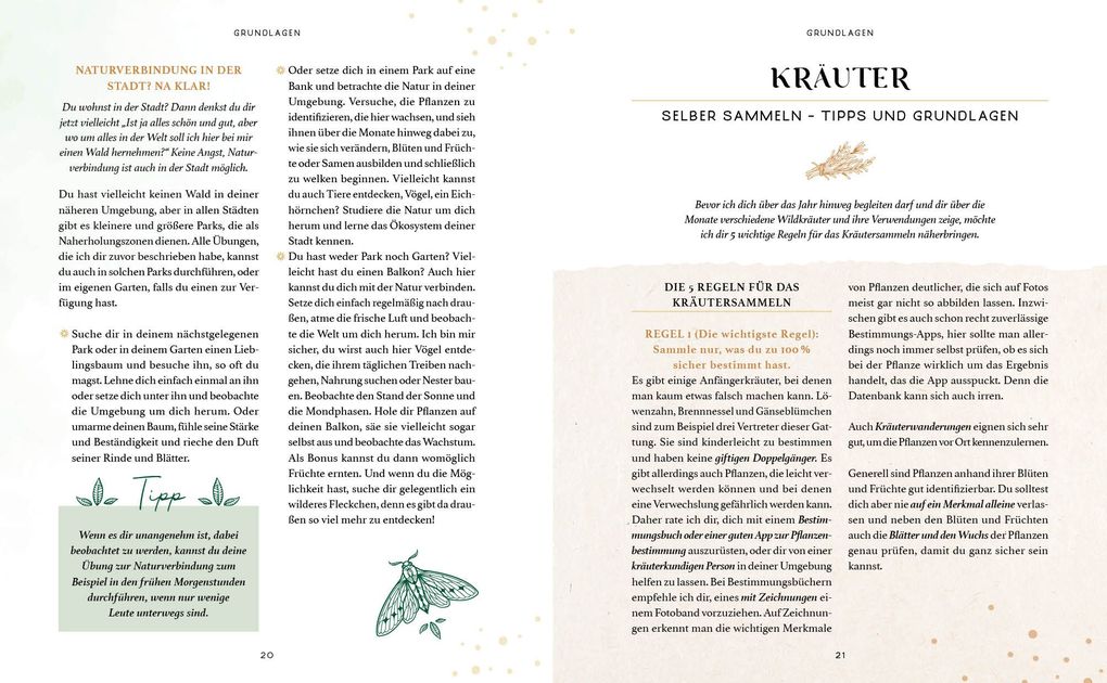 Weitere Ansicht: Zaubernuss und Waldmagie - Naturmomente für deine Seele | Sabine Strassmair