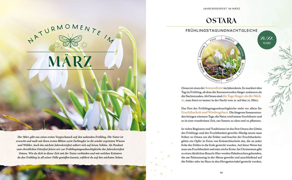 Weitere Ansicht: Zaubernuss und Waldmagie - Naturmomente für deine Seele | Sabine Strassmair
