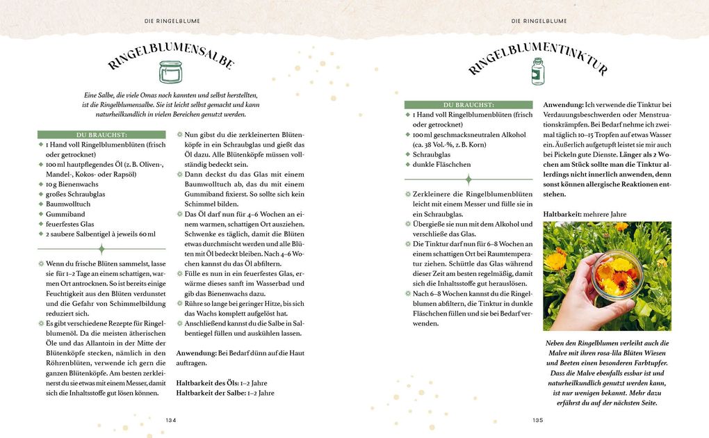 Weitere Ansicht: Zaubernuss und Waldmagie - Naturmomente für deine Seele | Sabine Strassmair