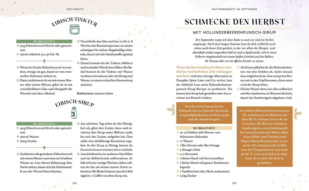 Weitere Ansicht: Zaubernuss und Waldmagie - Naturmomente für deine Seele | Sabine Strassmair