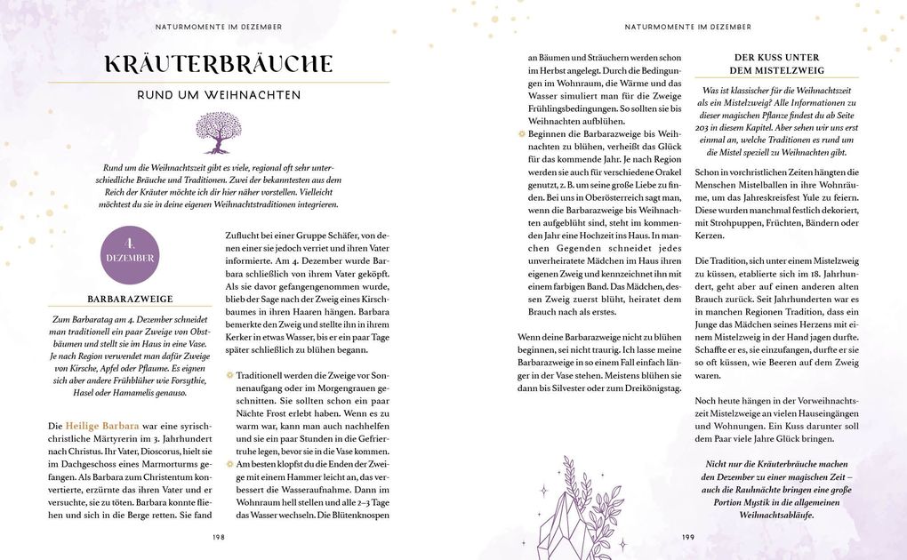 Weitere Ansicht: Zaubernuss und Waldmagie - Naturmomente für deine Seele | Sabine Strassmair