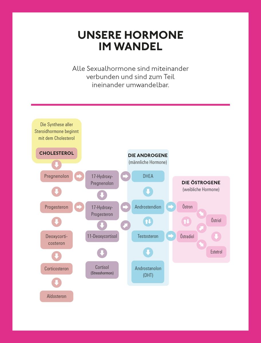 Weitere Ansicht: Willkommen in den Wechseljahren | Petra Stute
