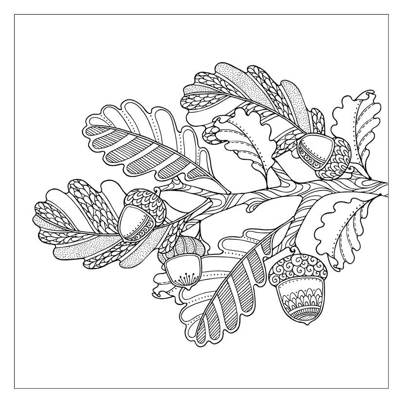 Weitere Ansicht: 333 Ausmalen - Herbst-Gefühle