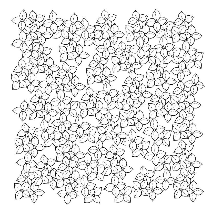 Weitere Ansicht: 333 Ausmalen - Wunder der Natur | Anastasia Sälinger