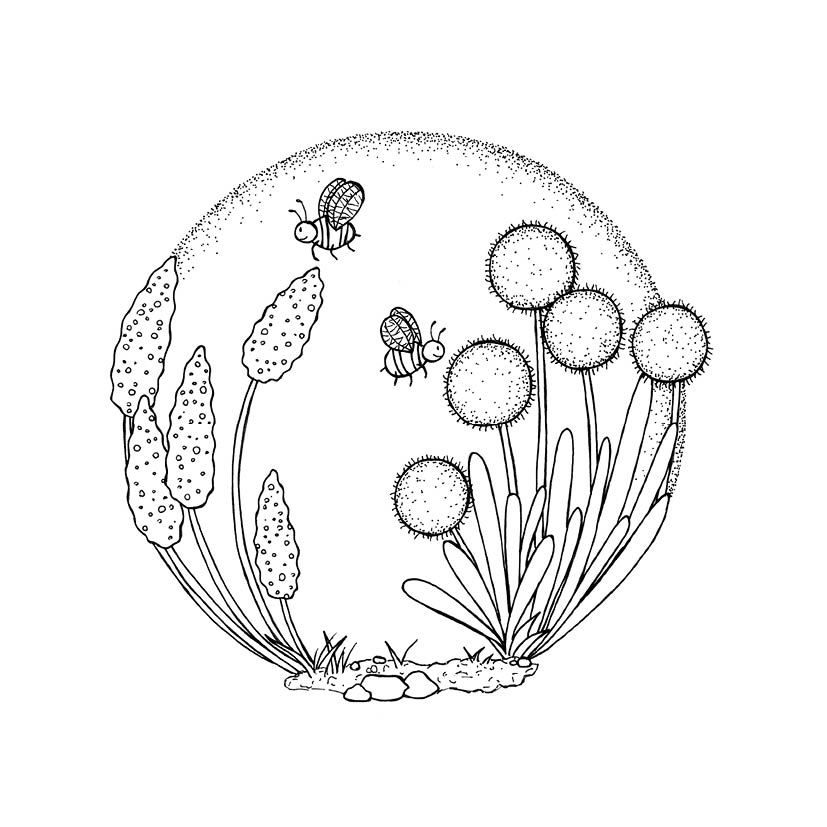 Weitere Ansicht: 333 Ausmalen - Wunder der Natur | Anastasia Sälinger
