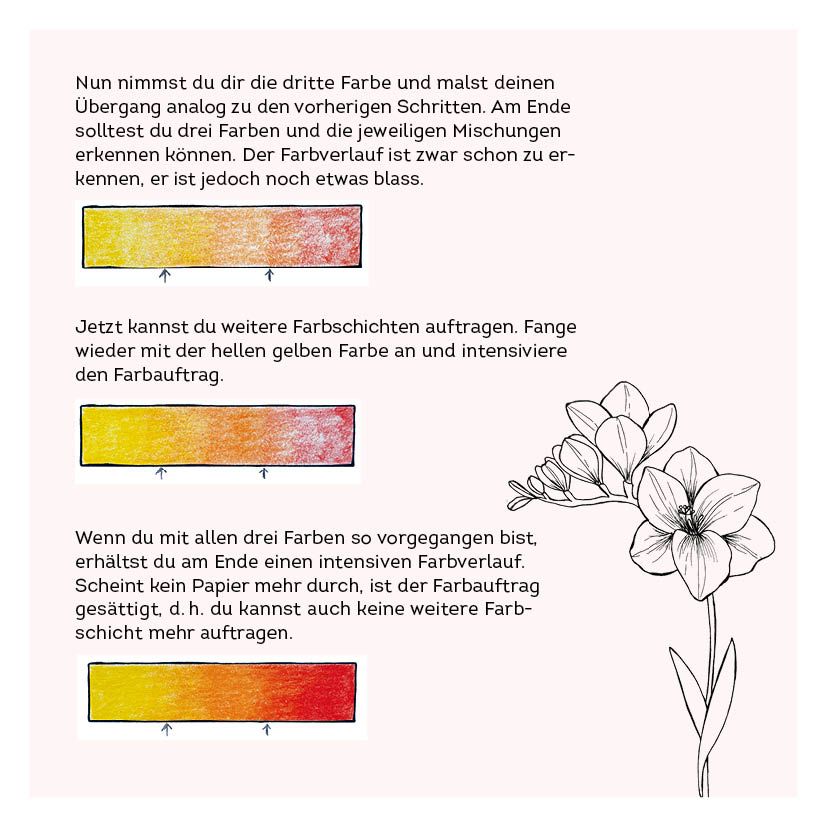 Weitere Ansicht: 333 Ausmalen - Wunder der Natur | Anastasia Sälinger