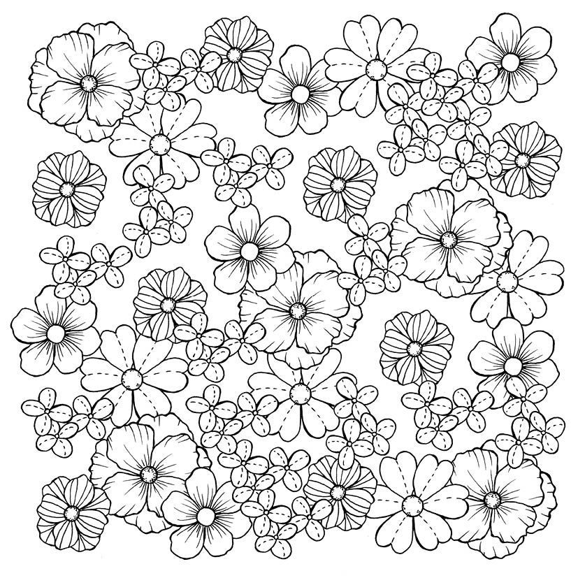 Weitere Ansicht: 333 Ausmalen - Wunder der Natur | Anastasia Sälinger