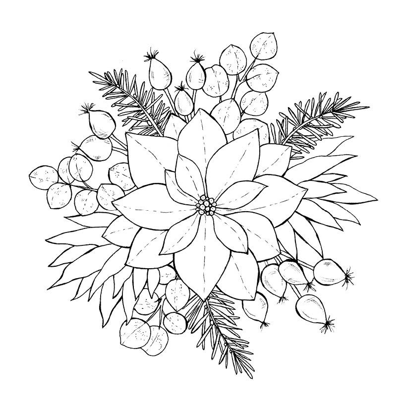 Weitere Ansicht: 333 Ausmalen - Wunder der Natur | Anastasia Sälinger