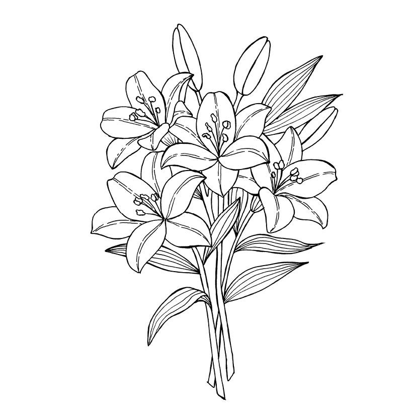 Weitere Ansicht: 333 Ausmalen - Wunder der Natur | Anastasia Sälinger