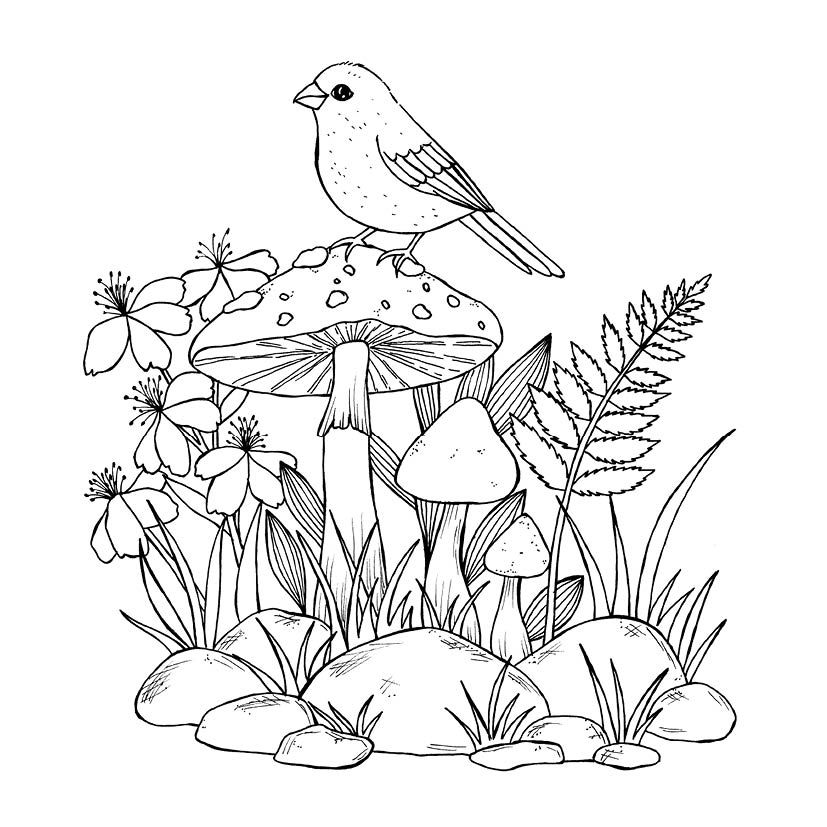 Weitere Ansicht: 333 Ausmalen - Wunder der Natur | Anastasia Sälinger