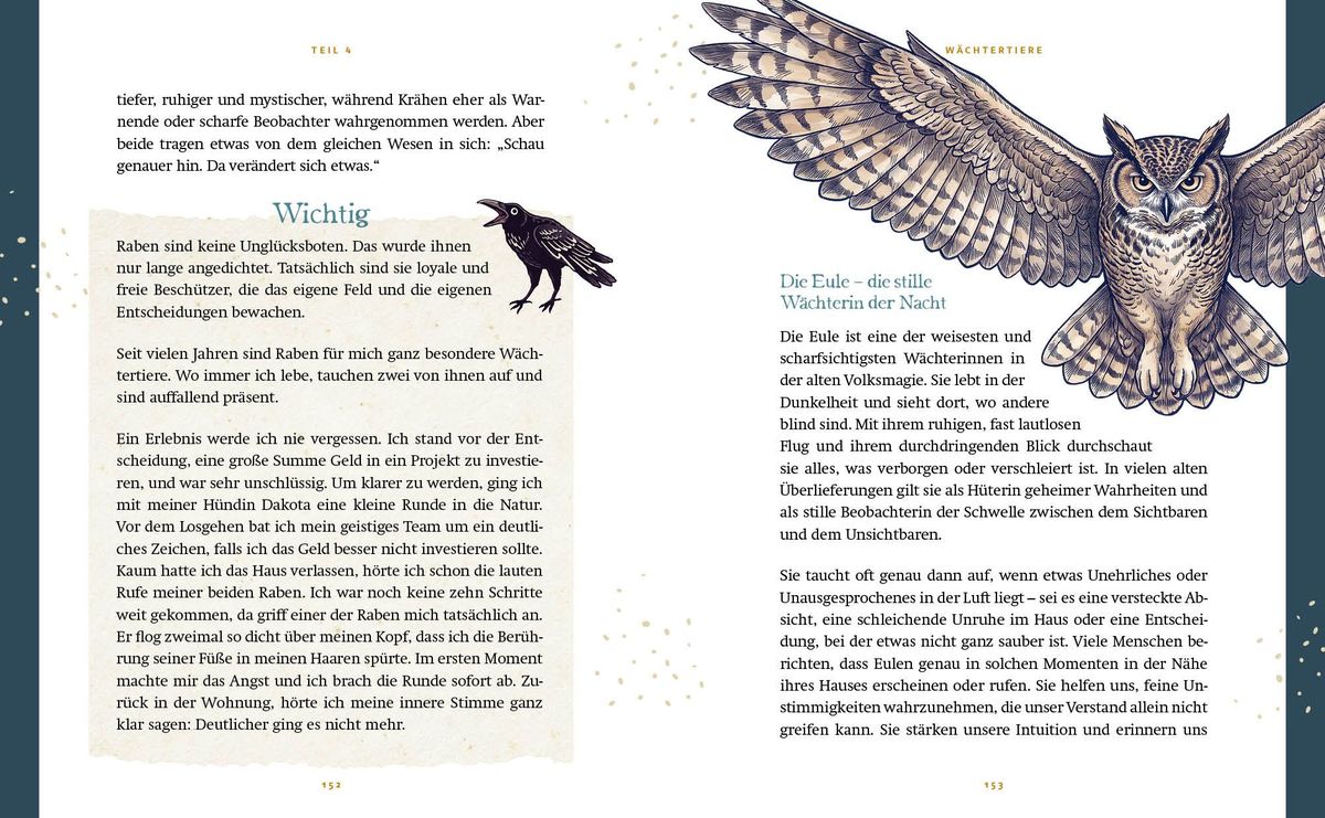 Weitere Ansicht: Alchemillas Hausmagie | Claudia Heindrichs
