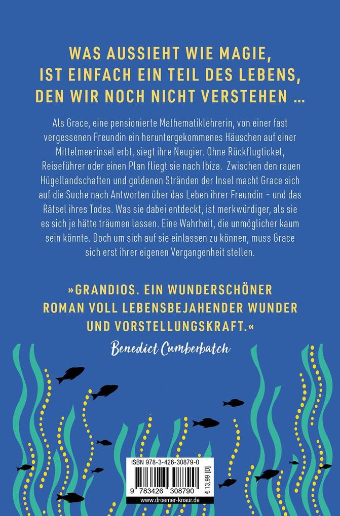Weitere Ansicht: Die Unmöglichkeit des Lebens | Matt Haig