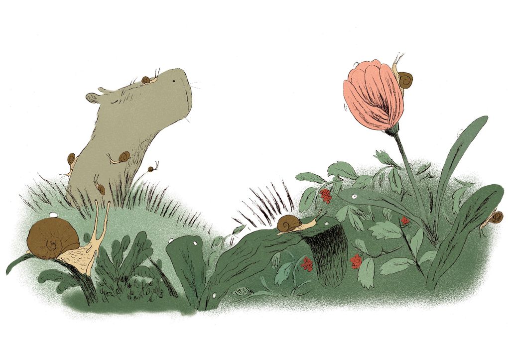 Weitere Ansicht: Die Weisheit des Capybara | Lorenza Bernardi, Lucia Carlini