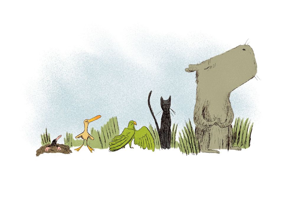 Weitere Ansicht: Die Weisheit des Capybara | Lorenza Bernardi, Lucia Carlini