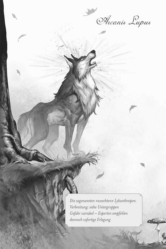 Weitere Ansicht: Die Oaknight-Chroniken 1: Werwolfjagd ist Familiensache | A. E. Leinkenjost