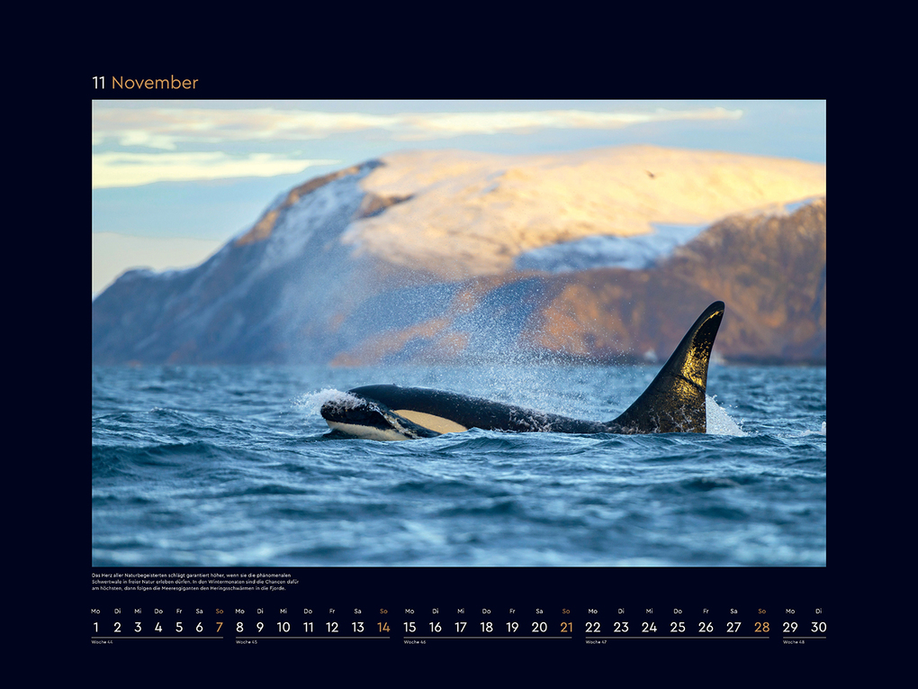 Weitere Ansicht: Hurtigruten - KUNTH Wandkalender 2027