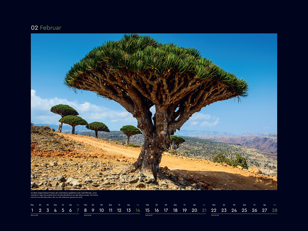 Weitere Ansicht: Alte Bäume, Sinnbilder des Lebens - KUNTH Wandkalender 2027