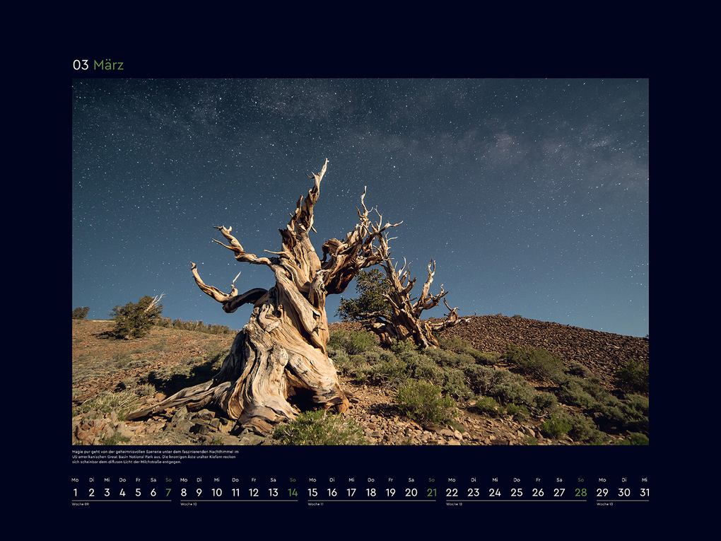 Weitere Ansicht: Alte Bäume, Sinnbilder des Lebens - KUNTH Wandkalender 2027