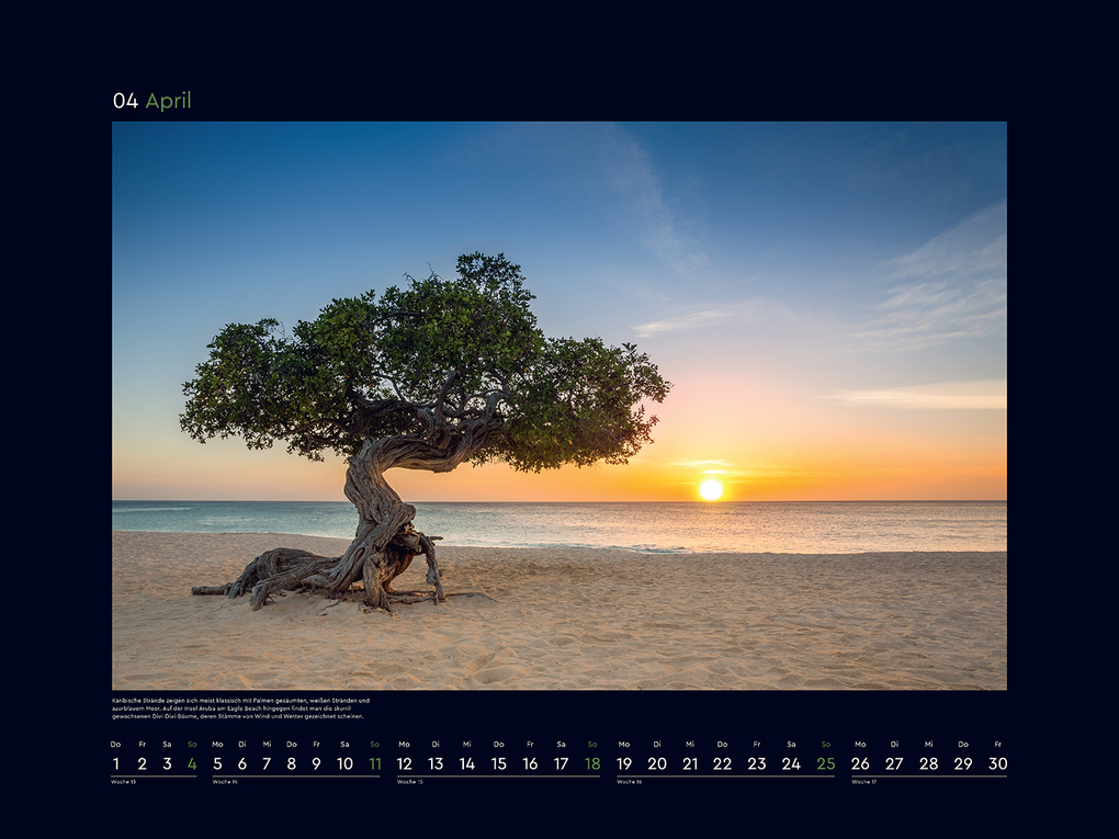 Weitere Ansicht: Alte Bäume, Sinnbilder des Lebens - KUNTH Wandkalender 2027