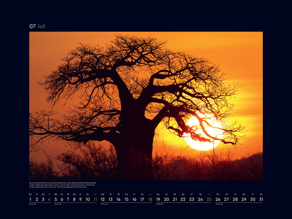 Weitere Ansicht: Alte Bäume, Sinnbilder des Lebens - KUNTH Wandkalender 2027