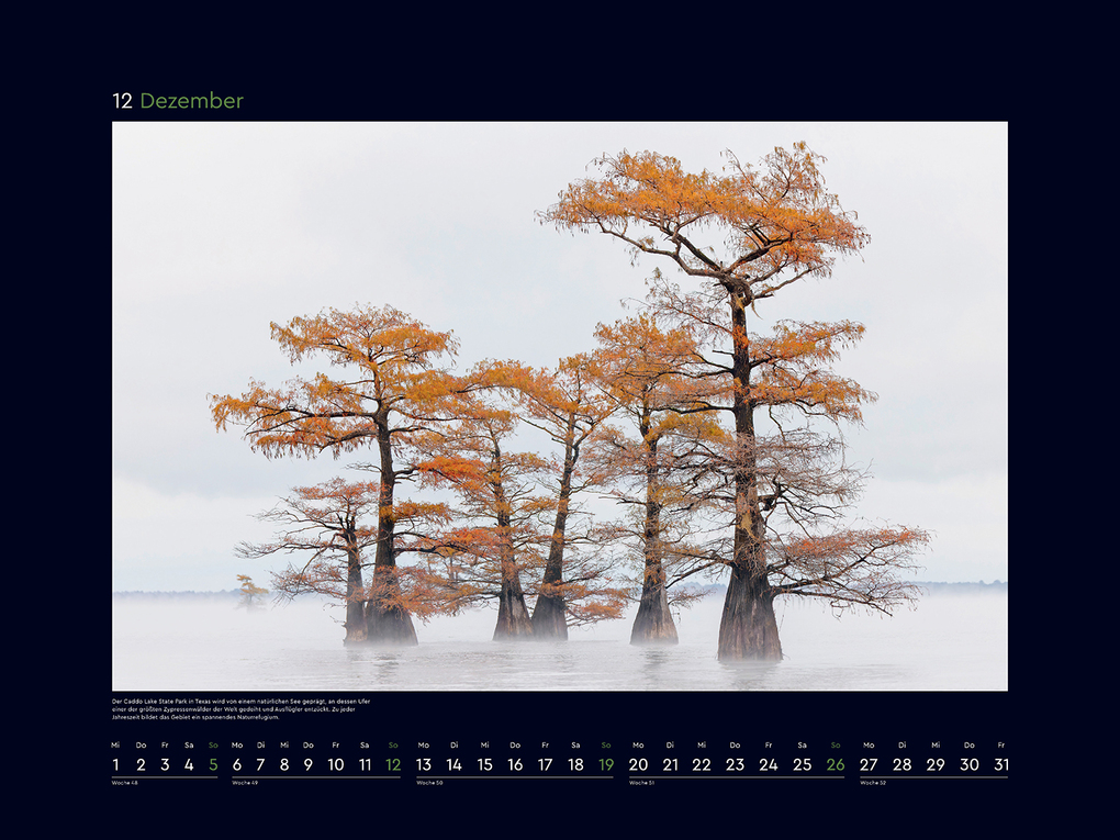 Weitere Ansicht: Alte Bäume, Sinnbilder des Lebens - KUNTH Wandkalender 2027