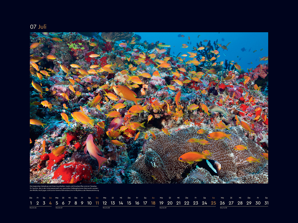 Weitere Ansicht: Farben der Erde - KUNTH Wandkalender 2027