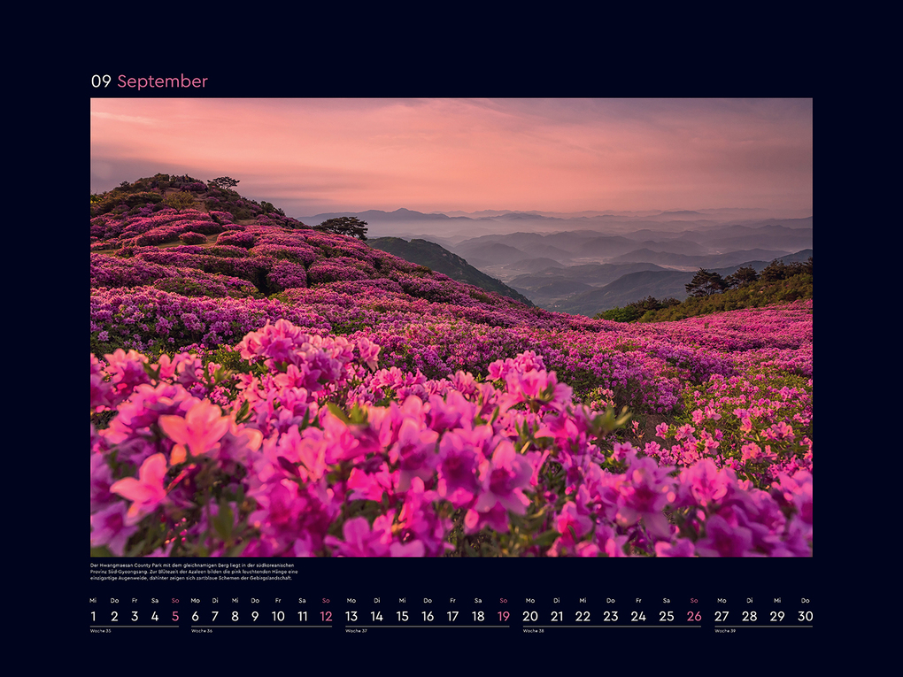 Weitere Ansicht: Aufgeblüht - KUNTH Wandkalender 2027