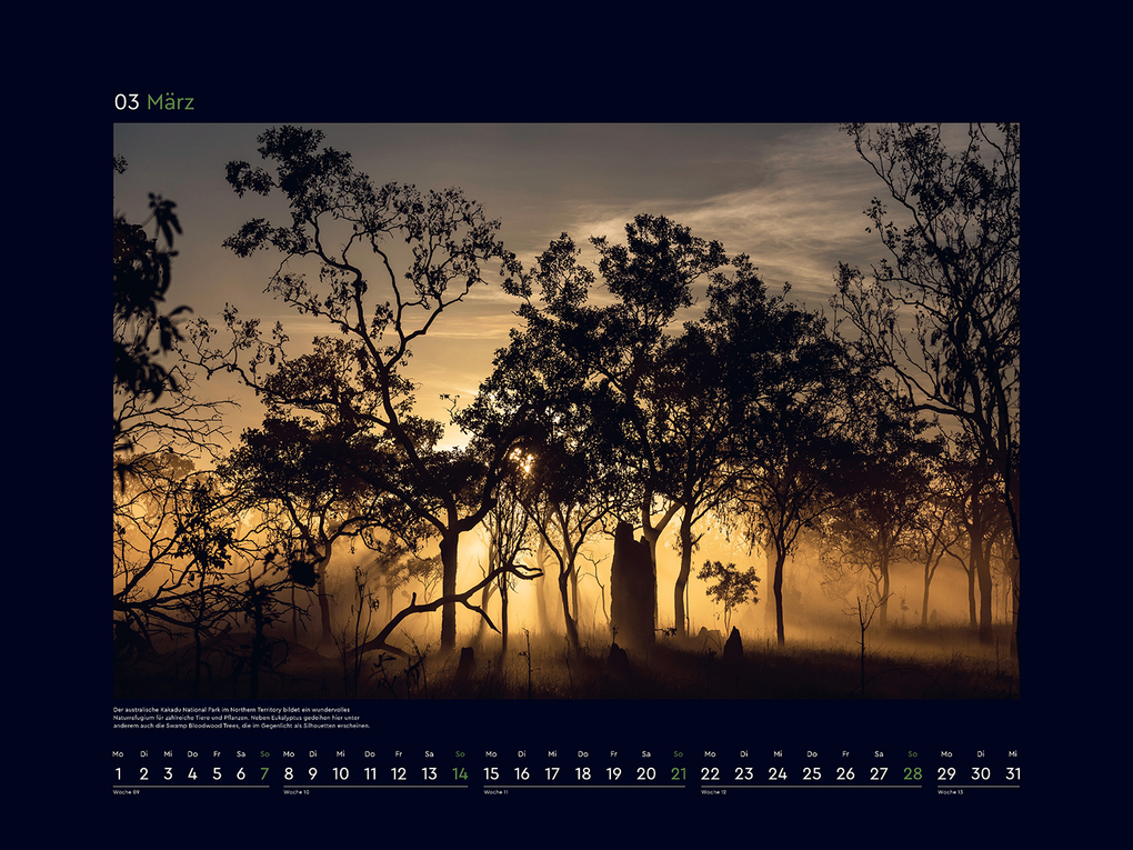 Weitere Ansicht: Magische Wälder der Erde - KUNTH Wandkalender 2027