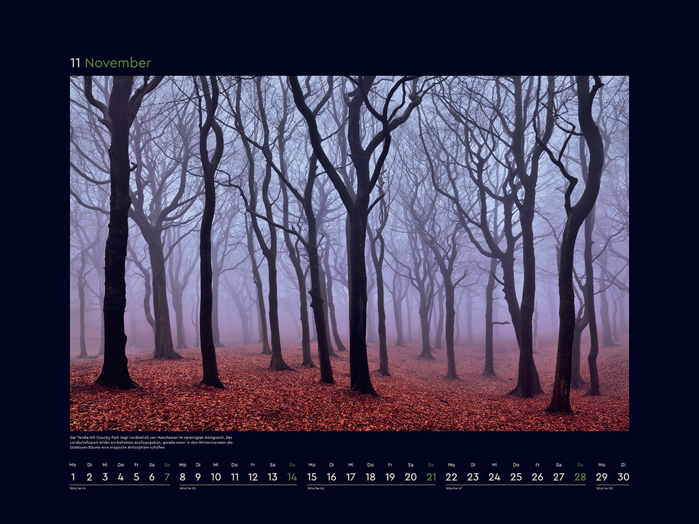 Weitere Ansicht: Magische Wälder der Erde - KUNTH Wandkalender 2027