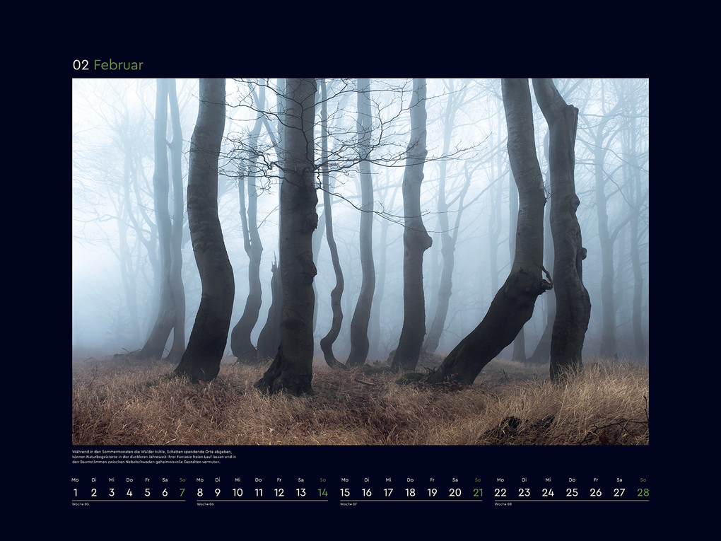 Weitere Ansicht: Magische Wälder der Erde - KUNTH Wandkalender 2027